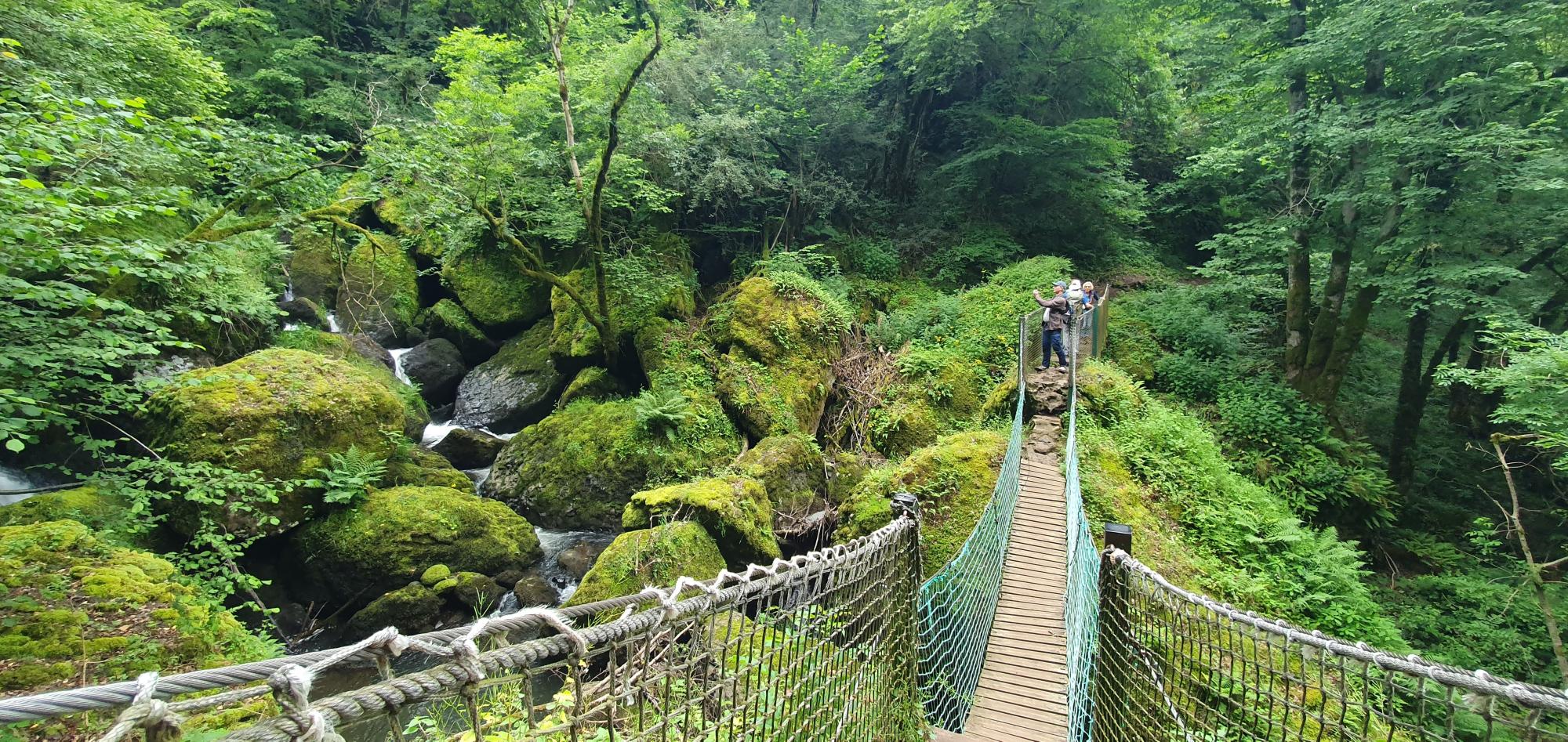 CANTAL